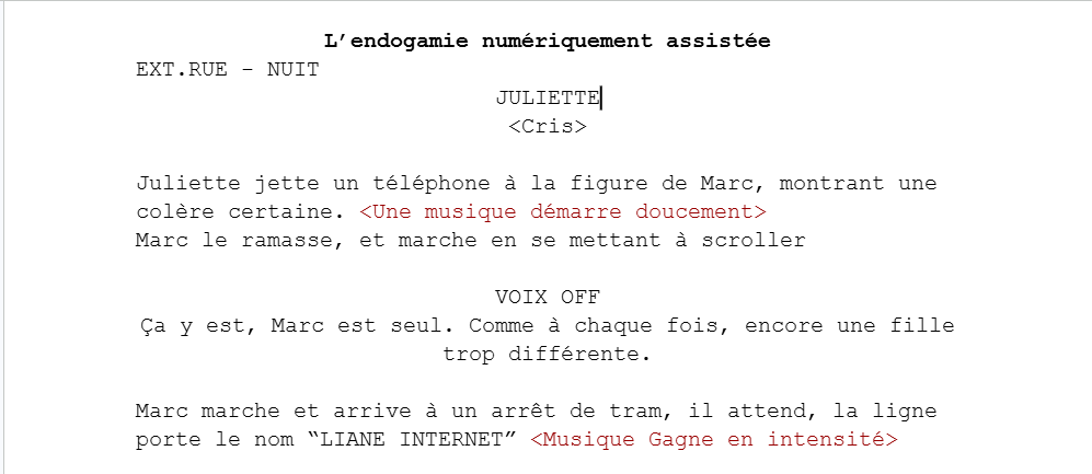 Théorie info-com sur l'endogamie numériquement assistée
